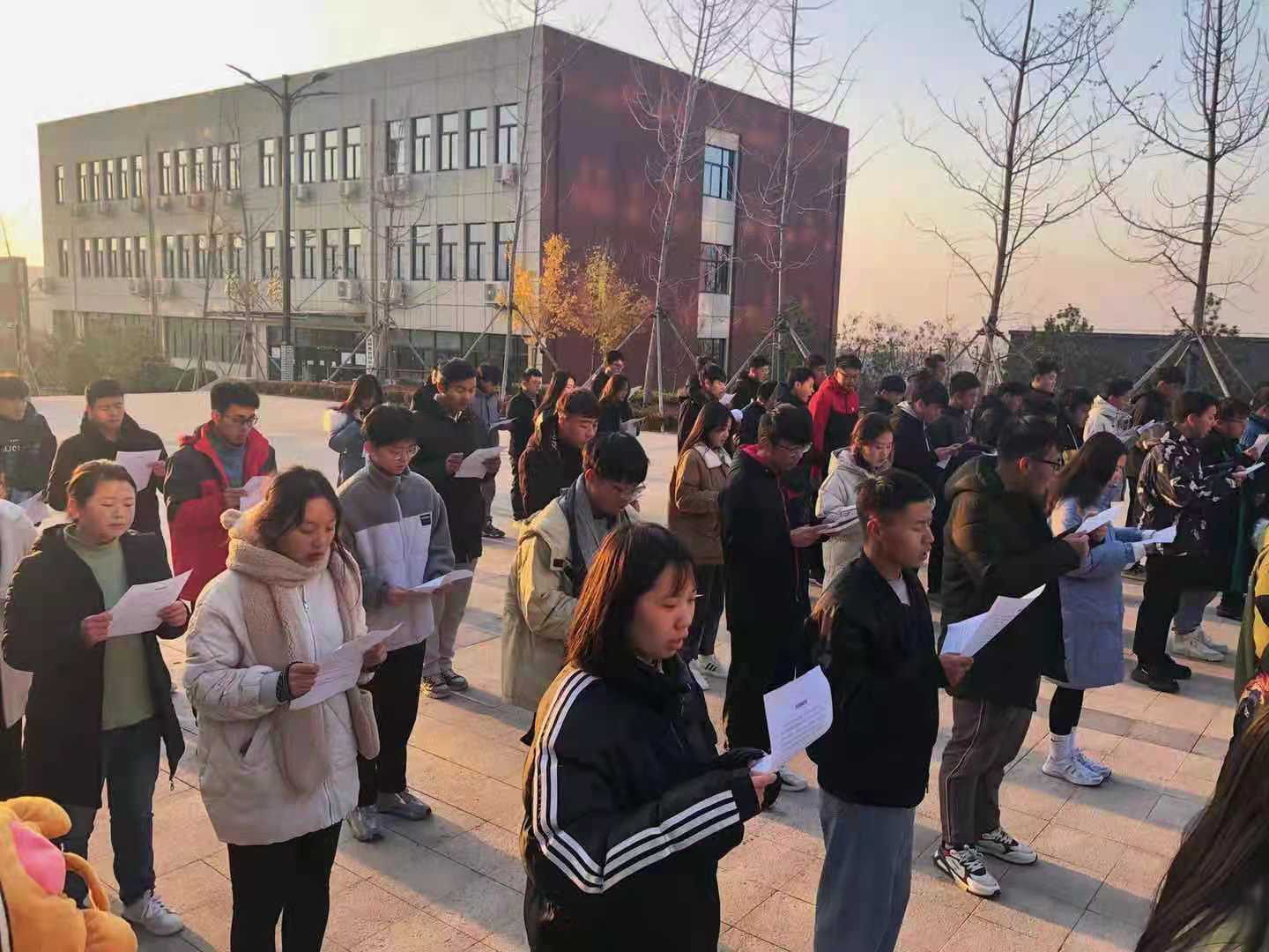 1607182639695299.png 1607182639695299.png