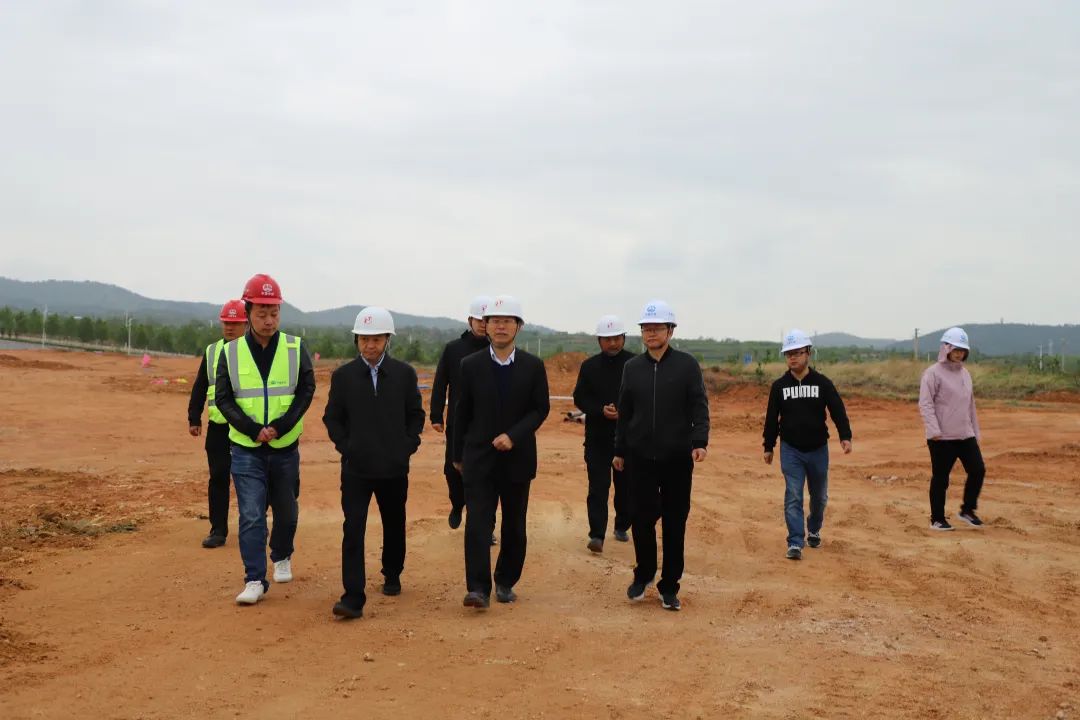 1682423008154351.jpg 640.jpg