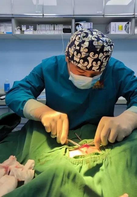 1701053319158141.jpg 640 (7).jpg